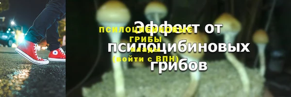 спайс Верхний Тагил