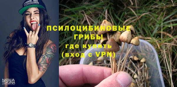 PSILOCYBIN Верея