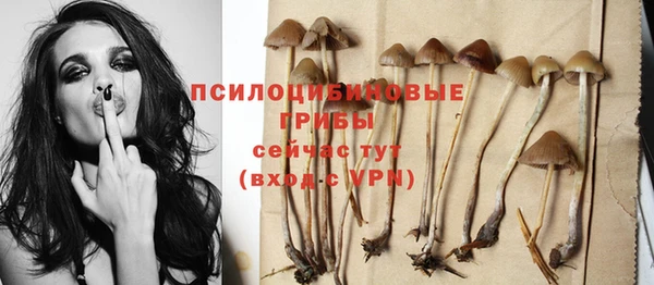 спайс Верхний Тагил