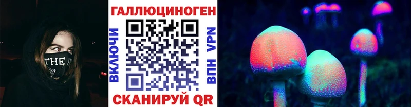 дарк нет состав  Карпинск  Псилоцибиновые грибы GOLDEN TEACHER 